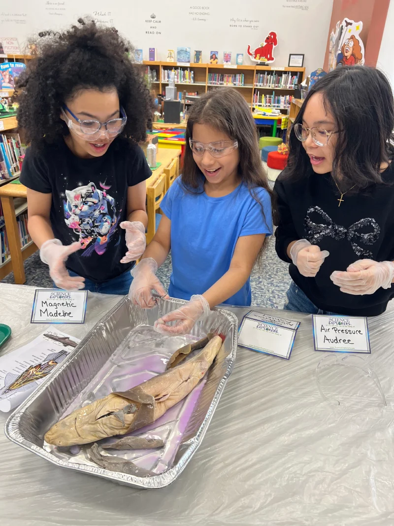 Interactive Learning Built for the Modern Classroom